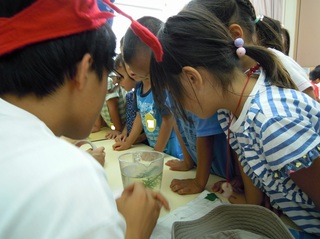 DSCN0451.jpg