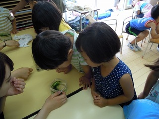 DSCN0452.jpg