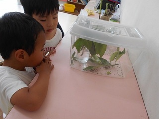 DSCN3444.jpg