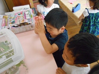 DSCN3446.jpg
