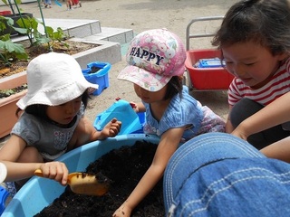 DSCN3455.jpg