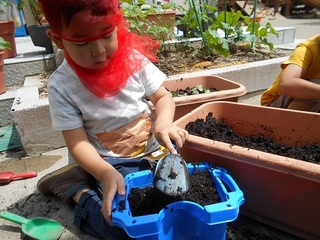 DSCN3461.jpg