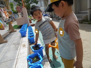 DSCN3465.jpg
