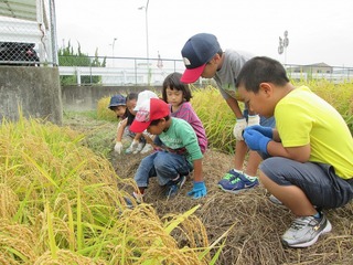 IMG_1569.jpg