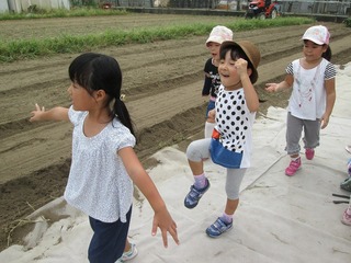 IMG_1600.jpg