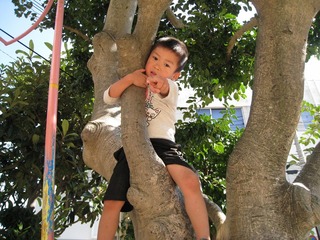 IMG_1647.jpg