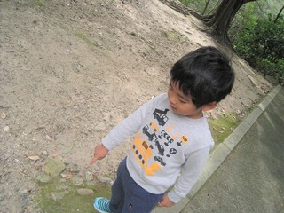 IMG_1858.jpg