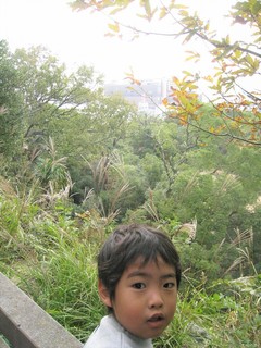 IMG_1898.jpg