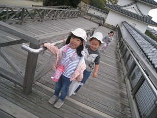 IMG_1920.jpg