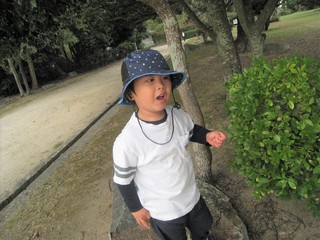 IMG_1935.jpg