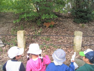 IMG_1957.jpg