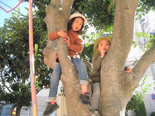 IMG_1977.jpg