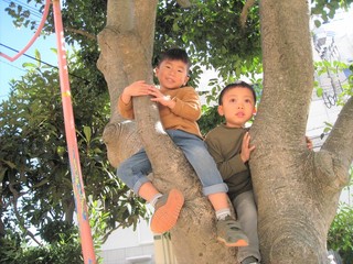 IMG_1988.jpg