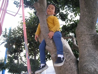 IMG_2040.jpg