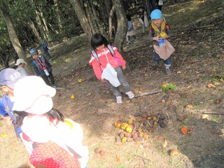 IMG_2250.jpg