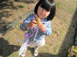 IMG_2251.jpg
