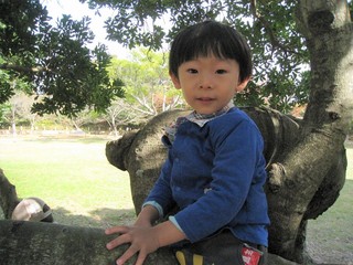 IMG_2258.jpg