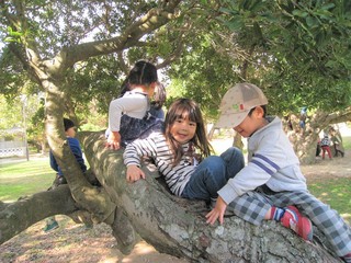 IMG_2269.jpg