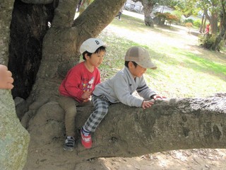 IMG_2272.jpg