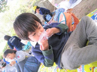 IMG_2312.jpg