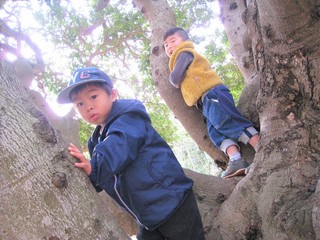 IMG_2317.jpg