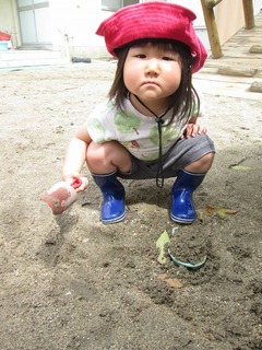 IMG_2430.jpg