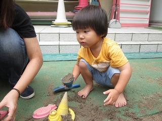 IMG_2451.jpg