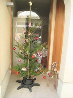 IMG_2552.jpg