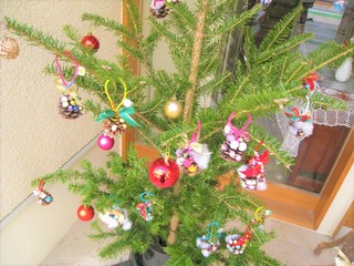 IMG_2553.jpg