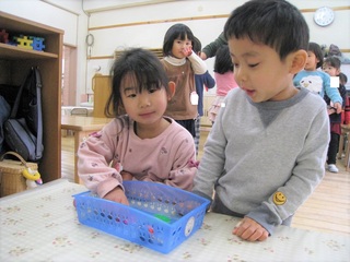 IMG_2895.jpg