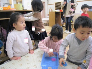 IMG_2897.jpg