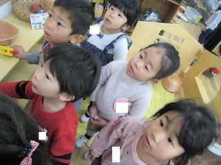 IMG_2915.jpg