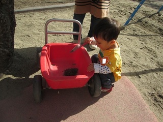 IMG_3116.jpg