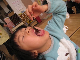 IMG_3331.jpg