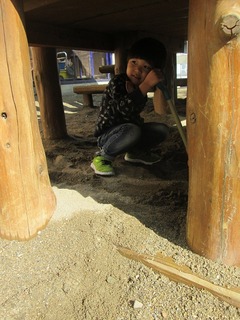 IMG_3397.jpg