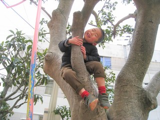 IMG_3543.jpg