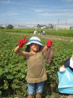 IMG_4721.jpg