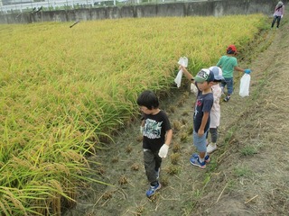 IMG_4856.jpg