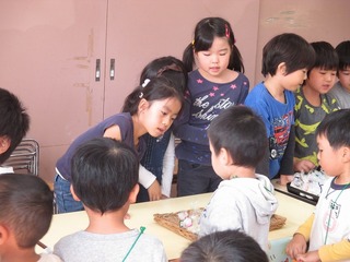 IMG_5767.jpg