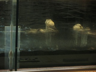 IMG_5826.jpg