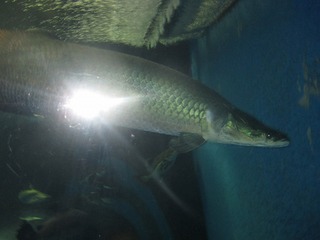 IMG_5859.jpg