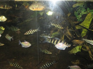 IMG_5869.jpg