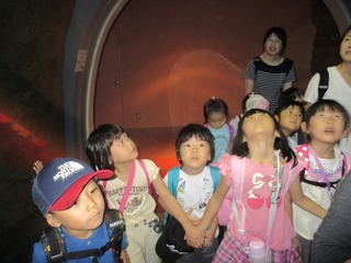 IMG_5871.jpg