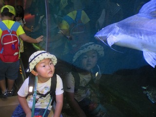 IMG_5873.jpg