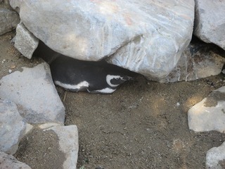 IMG_5884.jpg