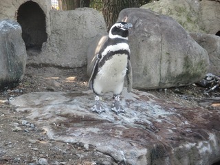 IMG_5885.jpg