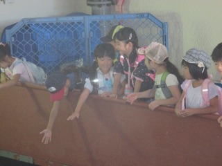 IMG_5887.jpg