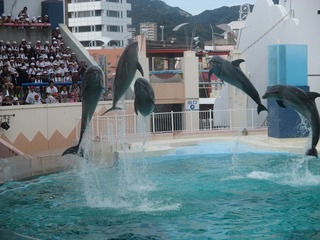 IMG_5948.jpg