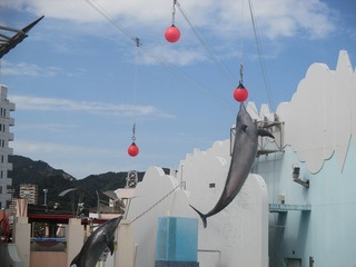 IMG_5983.jpg