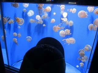 IMG_5993.jpg